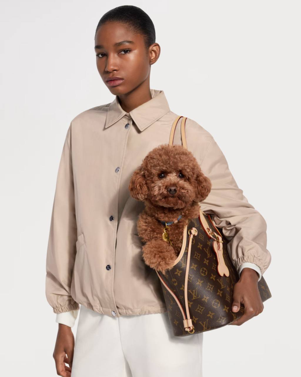 Louis Vuitton Neverwoof Bag 

910629 ⭐️