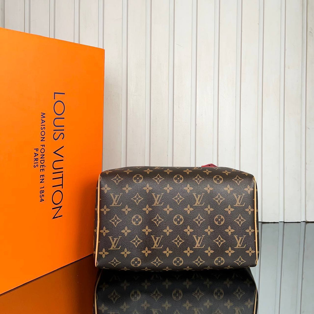 Louis Vuitton Speedy Soft 30 Crafty 

6639 ⭐️