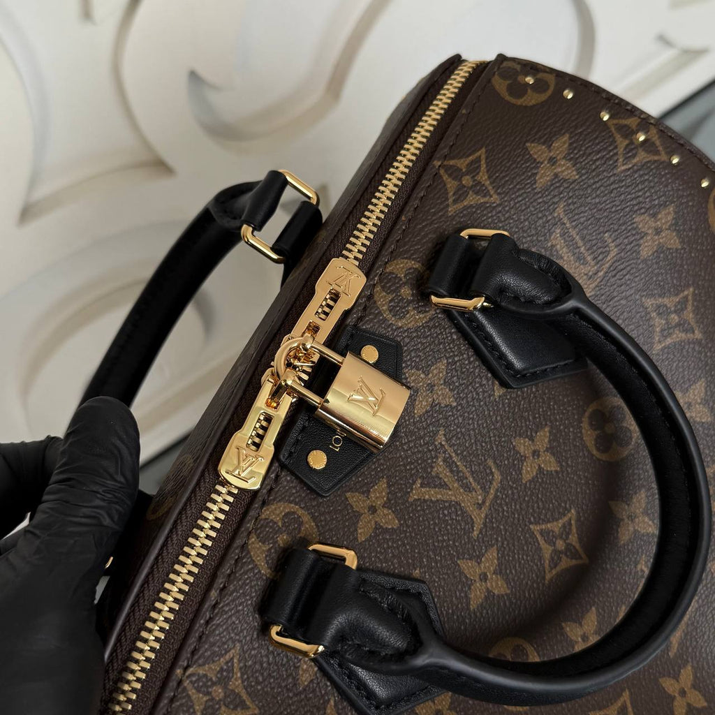 Louis Vuitton Speedy Trunk 25 cm⭐️
