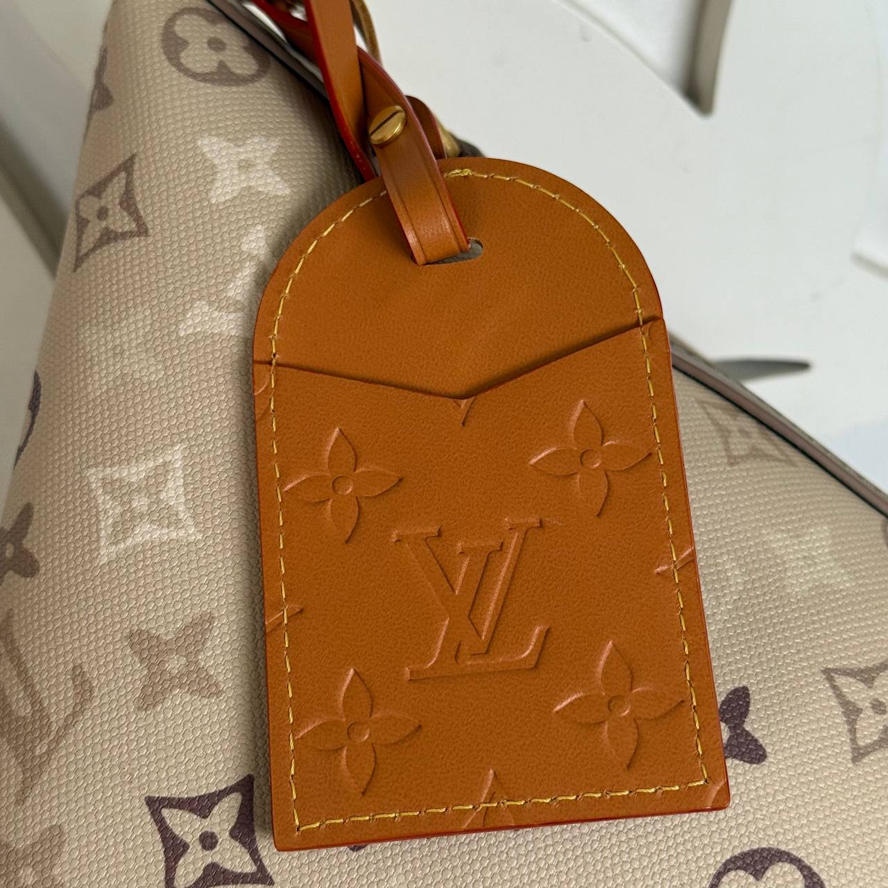 Louis Vuitton Vagabond Hobo Bag

910848 ⭐️
