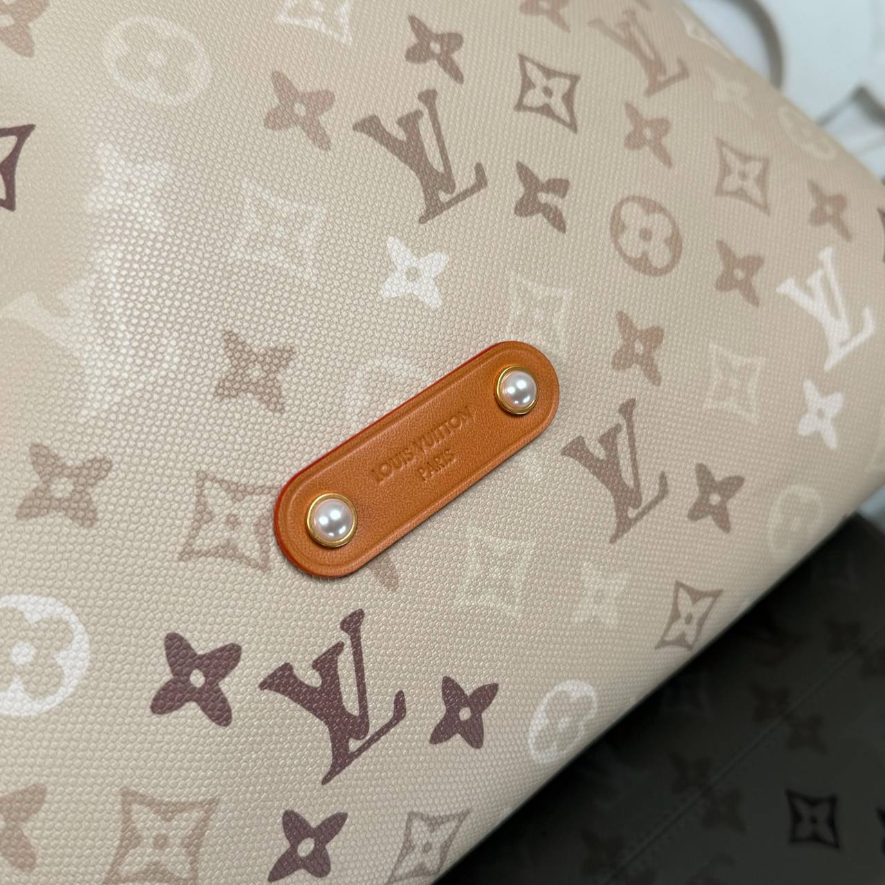Louis Vuitton Vagabond Hobo Bag

910848 ⭐️