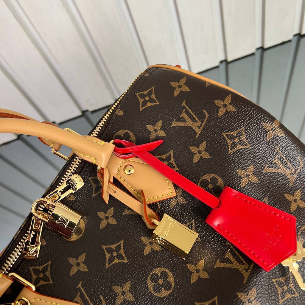 Louis Vuitton Speedy Soft 30 Crafty 

6639 ⭐️