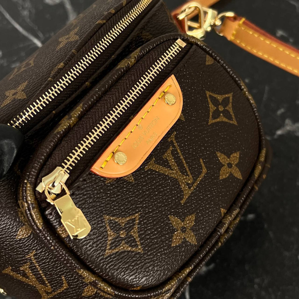 Louis Vuitton Mini Bumbag

6659 ⭐️
