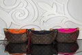 Louis Vuitton Bumbag

910688 ⭐️