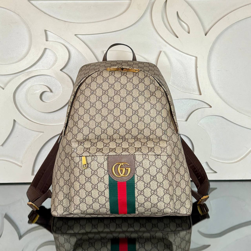Gucci GG Ophidia Large Backpack

35x37 cm
910374 ⭐️