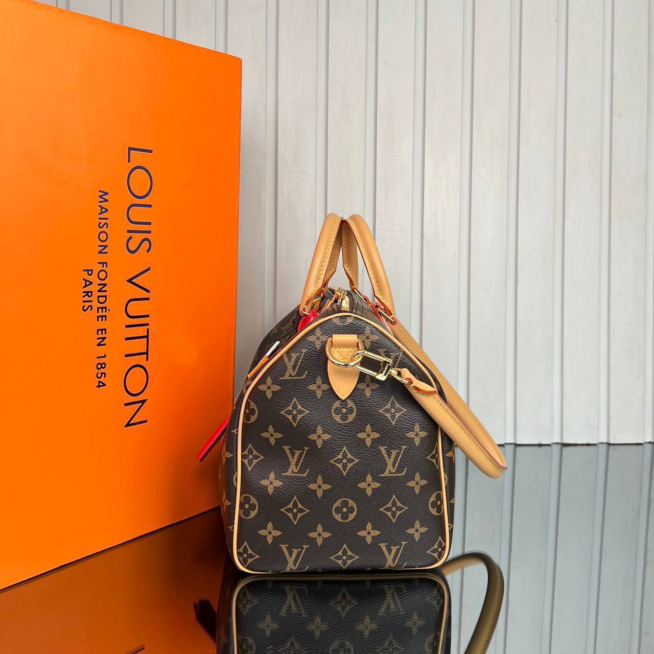 Louis Vuitton Speedy Soft 30 Crafty 

6639 ⭐️