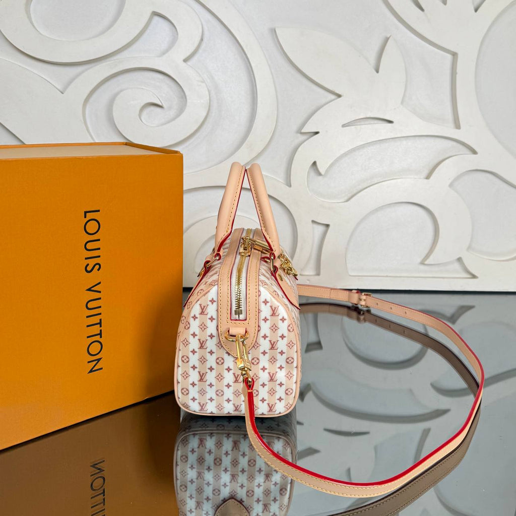 Louis Vuitton Speedy 20 cm

910996 ⭐️