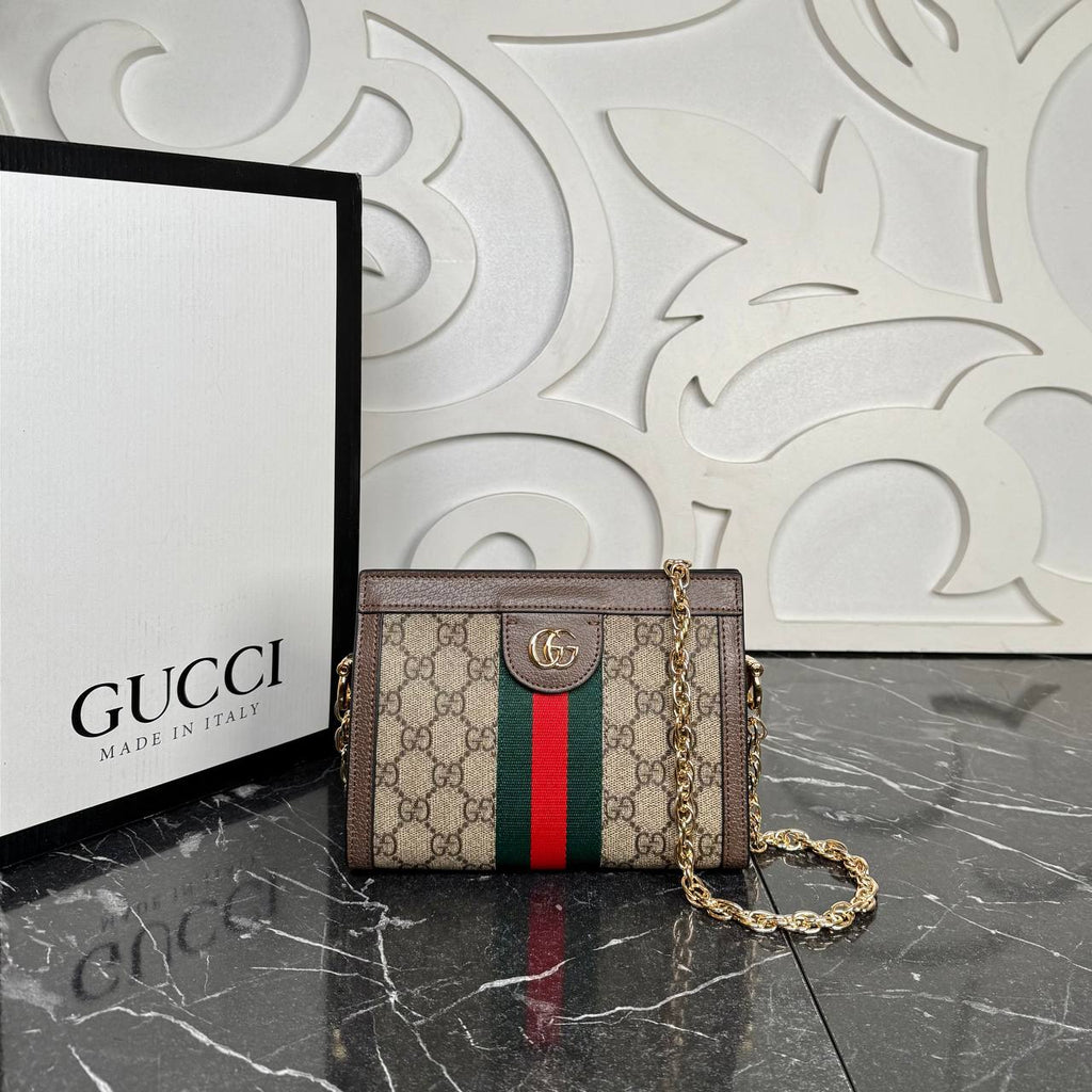Gucci Ophidia GG Chain Clutch Mini

19x14 cm
5931 ⭐️