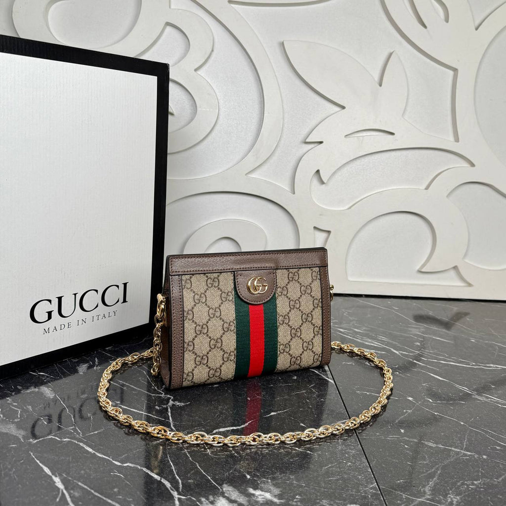 Gucci Ophidia GG Chain Clutch Mini

19x14 cm
5931 ⭐️