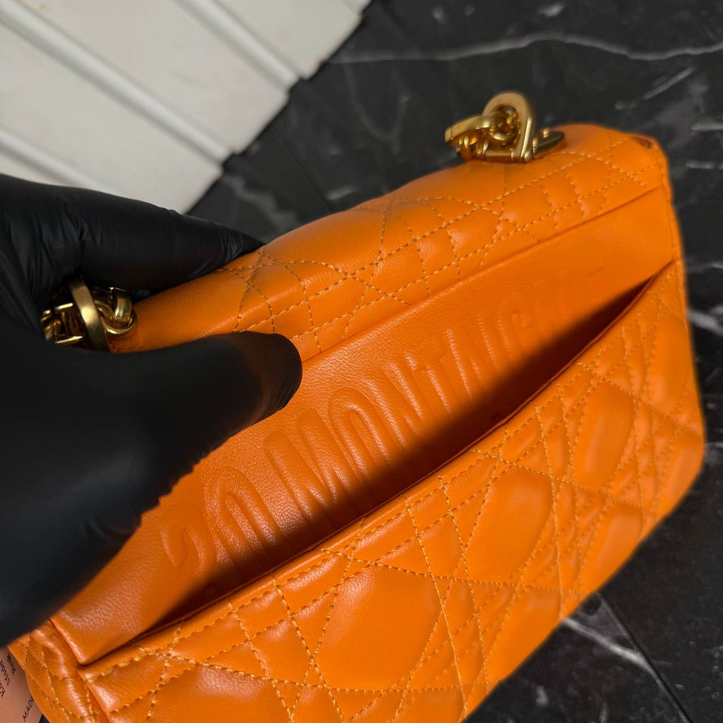 Christian Dior Caro Mini Bag 

22x13.5 cm 
805