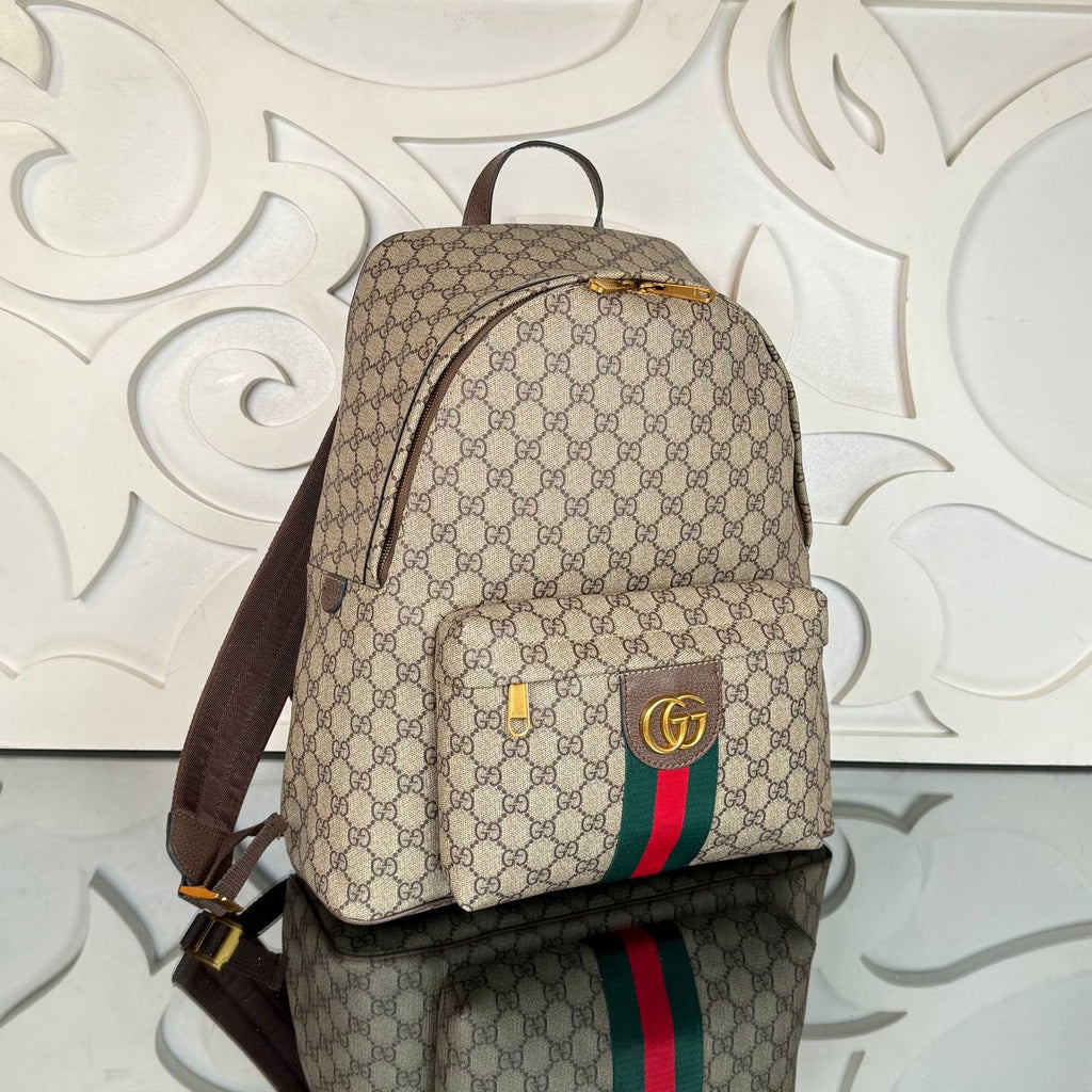 Gucci GG Ophidia Large Backpack

35x37 cm
910374 ⭐️