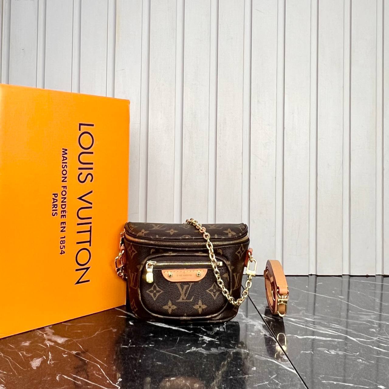 Louis Vuitton Mini Bumbag

6659 ⭐️