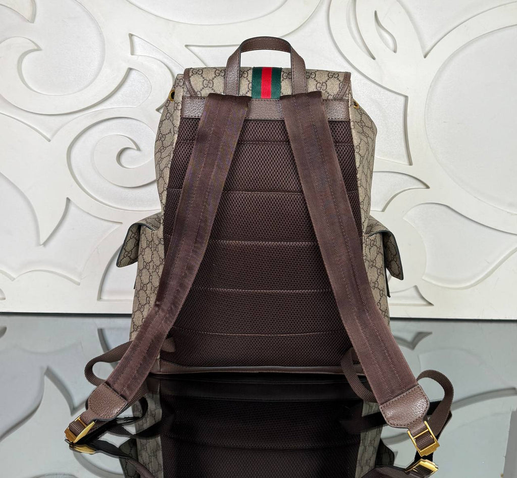 Gucci GG Supreme Backpack

32x40 cm
5997 ⭐️