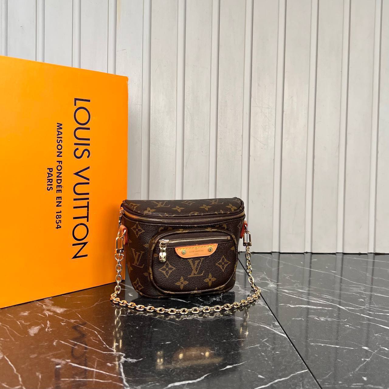 Louis Vuitton Mini Bumbag

6659 ⭐️