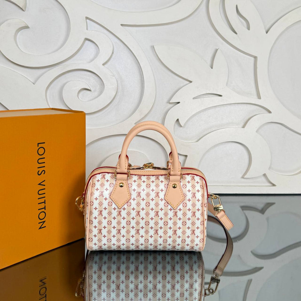 Louis Vuitton Speedy 20 cm

910996 ⭐️